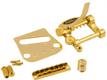 Bigsby Fender Tele Conversion Kit Gold