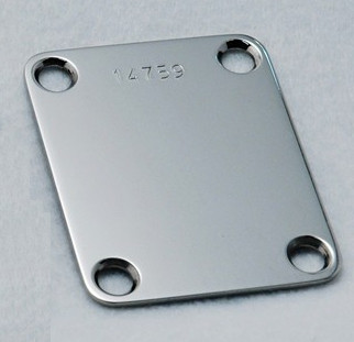 Callaham Stainless Steel Neck Plate and screws High Luster finis
