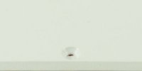 Back cover strat White USA Vintage
