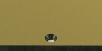Pickguard USA 8-hole Brushed Gold (Simulated) 3PLY SSS