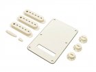 Fender Accessory Kit Parchment