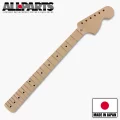 Allparts �Licensed by Fender�� Strat Maple Neck LMO CBS-Head
