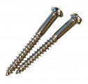 SLOT HEAD NECK PICKUP SCREW