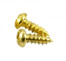 Skruv till Gibson Bellplates 2 st Guld