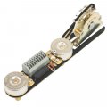ObsidianWire Custom 4-Way for Tele