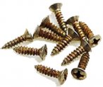 MRC Relic Pickgard Screws Fender Japan 13 st