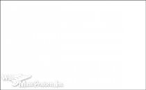 Plektrumskyddsmne USA 393X228 3L Vit