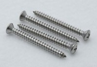 Callaham Stainless Steel Neck Plate and screws High Luster finis