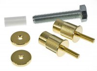 Faber Epiphone to '59 ABR converter studs BELL BRASS, Guld