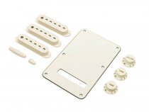 Fender Accessory Kit Parchment