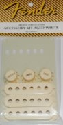 Fender Accessory Kit Aged White