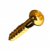 Screw machinehead Japan 2.1X10 7 Gold