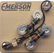 Emerson SG PREWIRED KITBUMBLEBEE