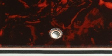PRECISION BASS AMERICAN STANDARD - TORTOISE SHELL