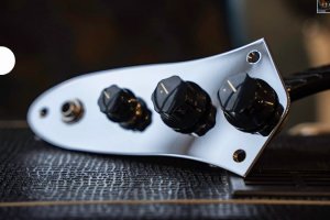 ObsidianWire� Loaded Control Plate for Jazz Bass�