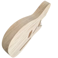 Golden Age Guitars T50 1-P Swamp ash body 1.65 kg