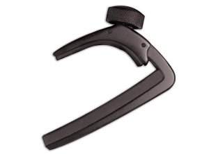 PW NS Capo Light