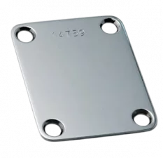 Callaham Stainless Steel Neck Plate and screws High Luster finis