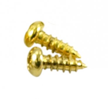 Skruv till Gibson Bellplates 2 st Guld