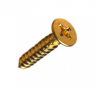 Skruv Stallmontering Japan 3X20 5 st Guld