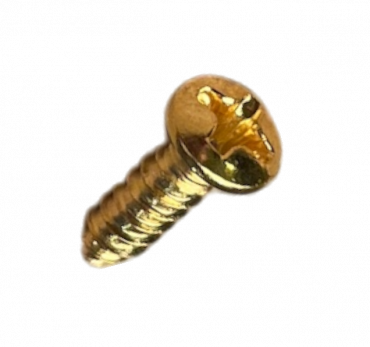 Skruv plektrumskydd till Gibson, USA 10st 2.5x10 Guld