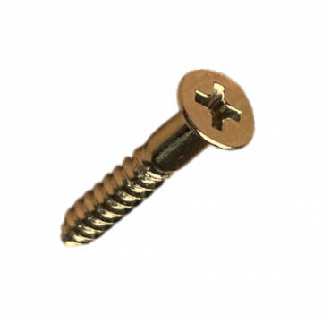 Skruv Stallmontering Japan 3.8X25 5 st Guld
