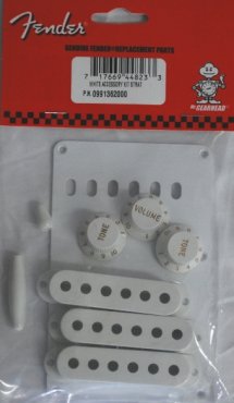 Fender Accessory Kit White