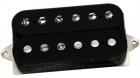 Dimarzio Andy Timmons Model Black