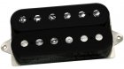 Dimarzio Andy Timmons Model Black F-spaced
