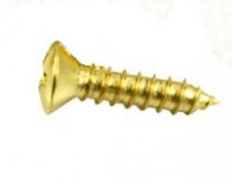 Pickguard screw USA 20 3x13 Gold